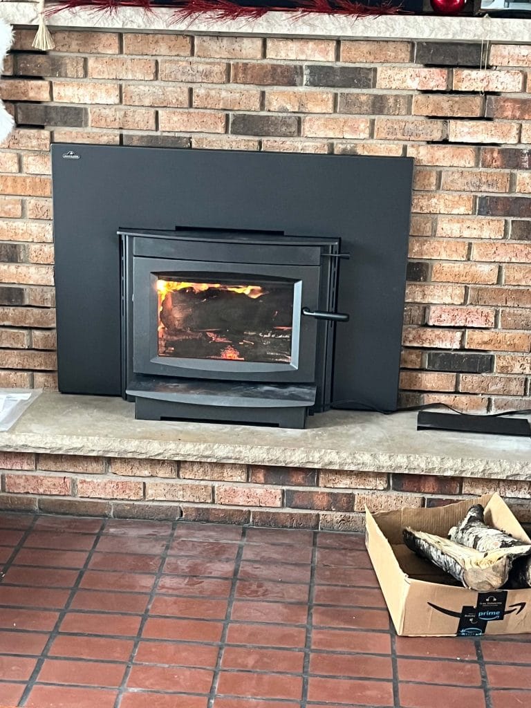 Fireplace Insert